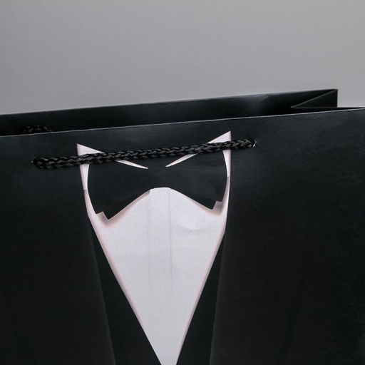 Цена за 2 шт. Пакет подарочный ламинированный, упаковка, Стиль, M 25.5 х 30 х 9 см