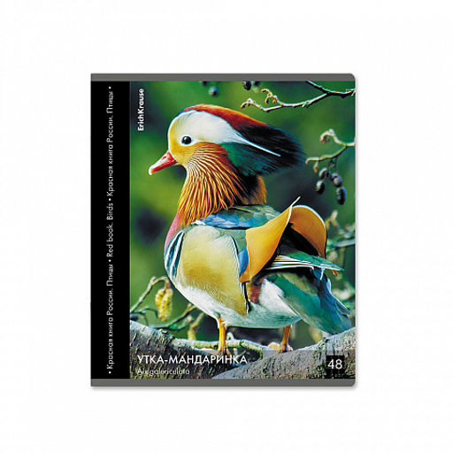 Цена за 5 шт. Тетрадь общая ученическая ErichKrause Энциклопедия, Красная книга России. Птицы, 48 листов, клетка, глянцевая ламинация_MIX-PACK  фото 8
