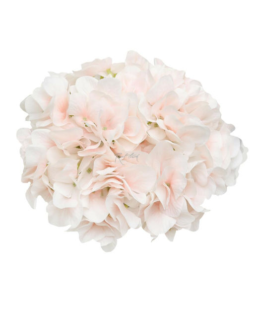 Гортензия древовидная соцветие (без стебля) - Светло-персиковый - Real touch фото 2