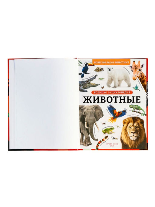 Энциклопедия в твёрдом переплёте "Животные", 128 страниц