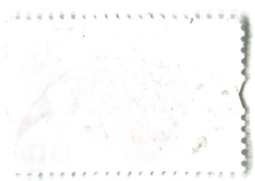 Марка Боровик соснолюбивый 2014 год Болгария