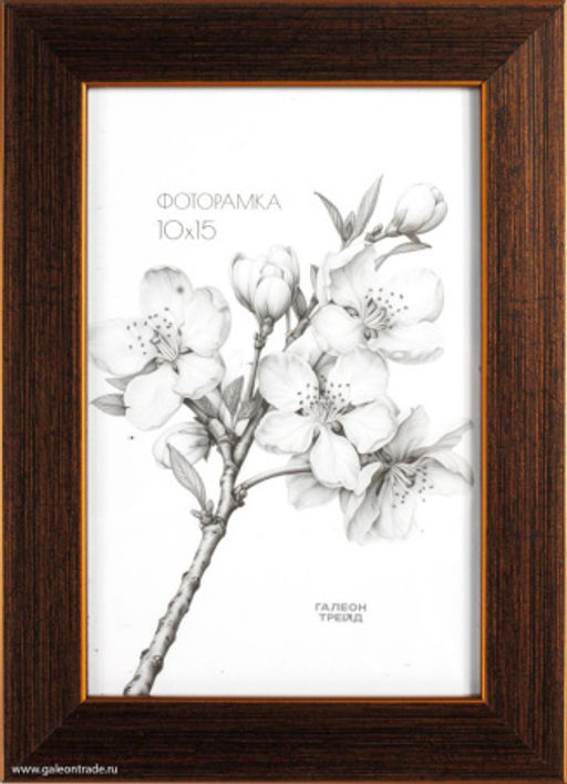 Фоторамка 10х15 / KS1912-1 /уп10