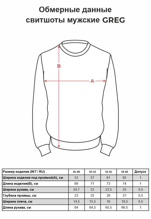 Свитшот мужской GREG G121-Aviator (чёрный)  фото 2