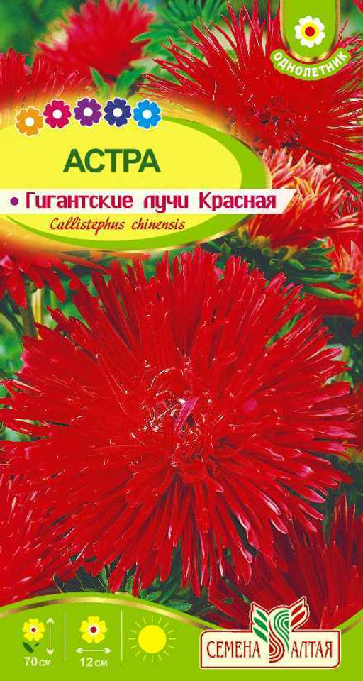Астра Гигантские лучи Красная 0,2г (Семена Алтая)
