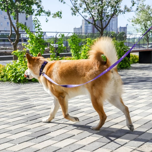 Поводок COSMO DOG, 2 см 1,5 м - Пушистое счастье фото 11