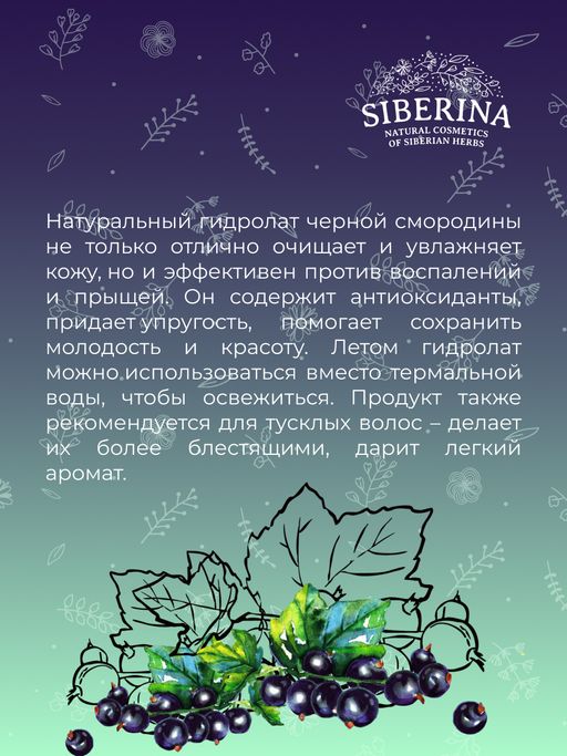 Гидролат чёрной смородины - Siberina фото 10