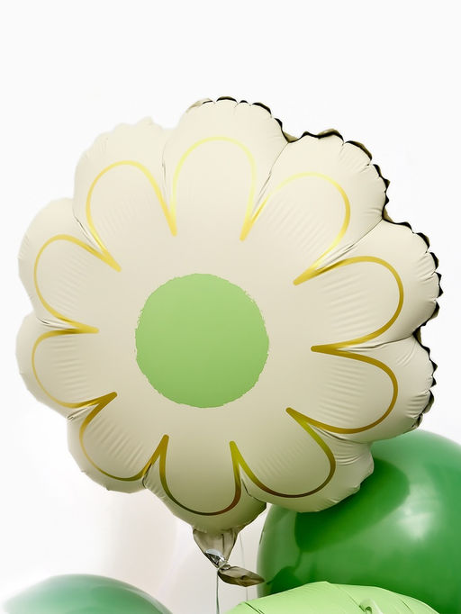 Воздушные шары "Капибара с ромашкой" фольга, латекс, набор 12 штук