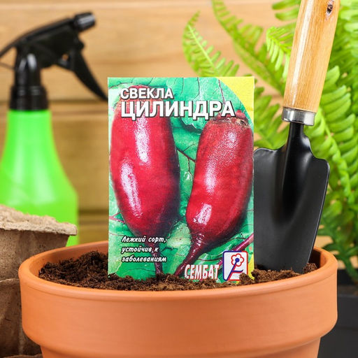Цена за 5 шт. Семена Свекла "Цилиндра", 1 г