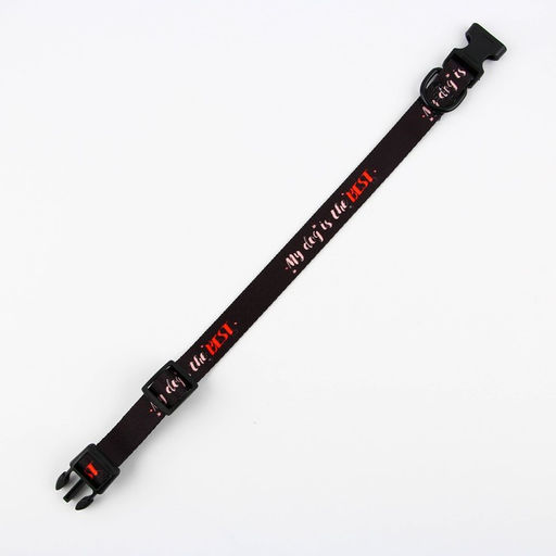 Ошейник My dog is the best, застёжка - фастекс, 2 см 25-40 см - Пушистое счастье фото 6