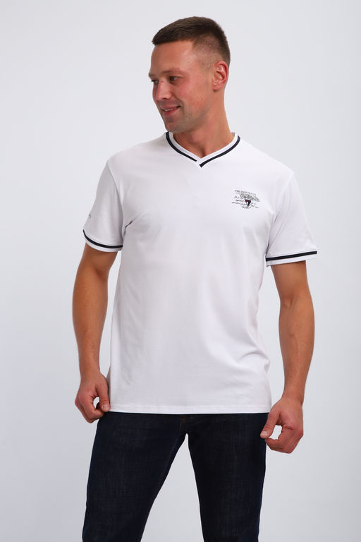 Футболка мужская 059