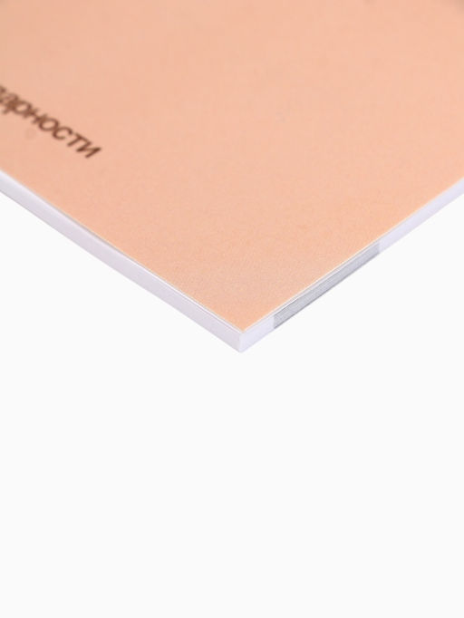 Дневник благодарности А5, 30 л Ты можешь всё - Artfox фото 6