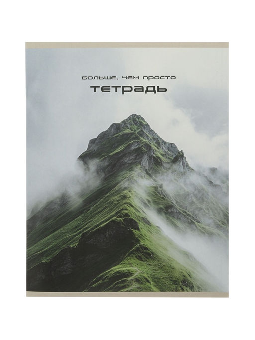 Цена за 160 шт. Тетрадь 24 листа в клетку Calligrata «Ландшафт», блок офсет, 5 В МИКС