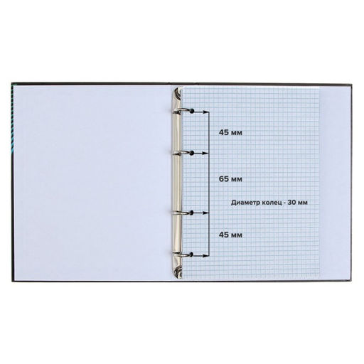 Тетрадь на кольцах Calligrata A5, 80 листов, в клетку, пластиковая обложка, блок офсет, синяя