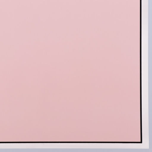 Цена за 20 шт. Пленка матовая 57х57м - UPAK LAND фото 3