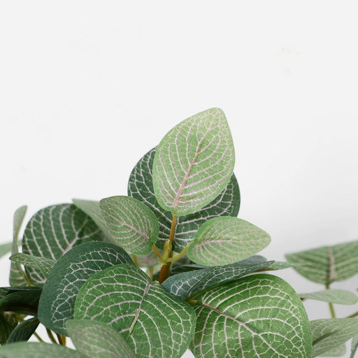 Искусственный цветок в горшке Фиттония, 18?17 см