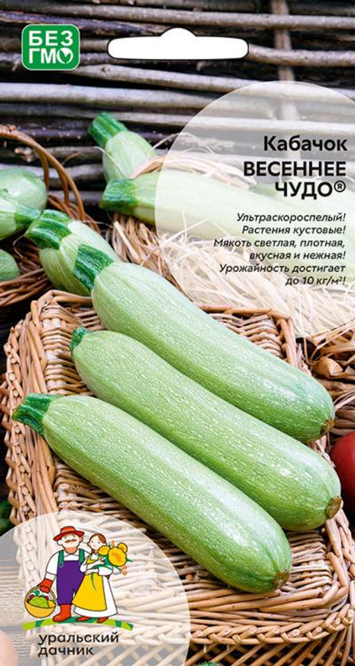 Кабачок ВЕСЕННЕЕ ЧУДО  Ультраскороспелый! Кустовой! Мякоть светлая, плотная, вкусная и нежная! Урожайность до 10 кг/кв.м! - Уральский дачник фото 3