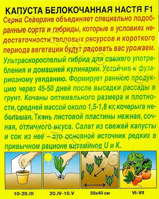 Капуста б/к Настя F1 0,1г (Аэлита)