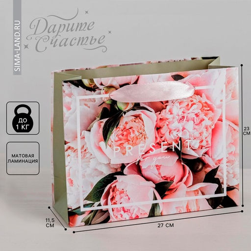 Цена за 2 шт. Пакет подарочный ламинированный, Present, упаковка, ML 27 х 23 х 11.5 см