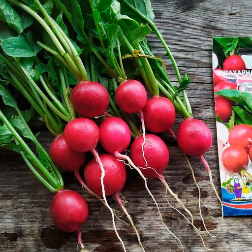 Редис САХАРНАЯ МОЛНИЯ F1 - Уральский дачник фото 2