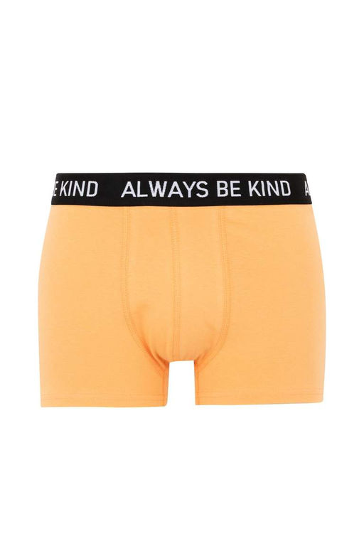 Комплект боксеров стандартной посадки (3 шт.) - Defacto фото 10