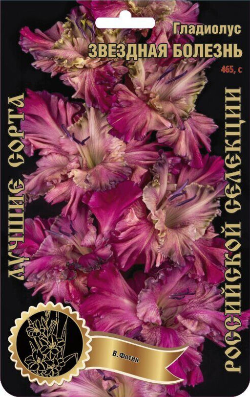 Гладиолус Звездная Болезнь 465,Фотин 1 р-р 7шт (Ф)