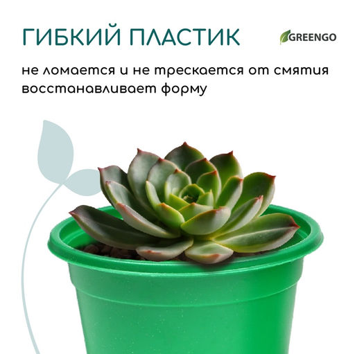 Цена за 2 шт. Горшок для рассады, 500 мл, d=11 см, h=8.5 см, мягкий пластик, зелёный, набор 10 шт., Greengo
