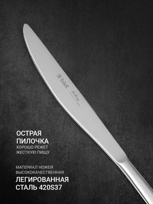 Набор столовых приборов 24пр. TalleR TR-21624  фото 3