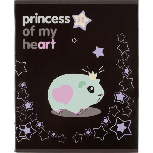 Цена за 2 шт. Тетрадь общая А5 48л Princess,клет,скреп, ВД-лак