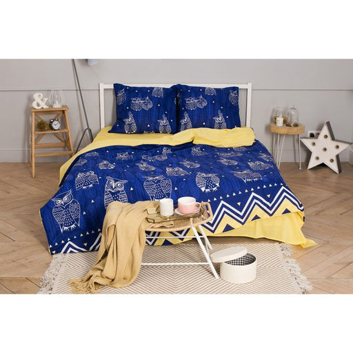 Постельное бельё Этель 2 сп Ушастые совы (вид 3) 175 х 215 см, 200 х 220 см, 70 х 70 - 2 шт фото 18