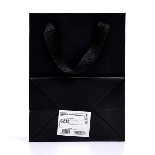 Пакет подарочный, с окном, 20×15×10 см, чёрный