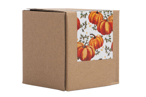 Емкость для соли или перца, 7 см, керамика, оранжевая, Тыква, Bright pumpkin - Anna lafarg фото 8