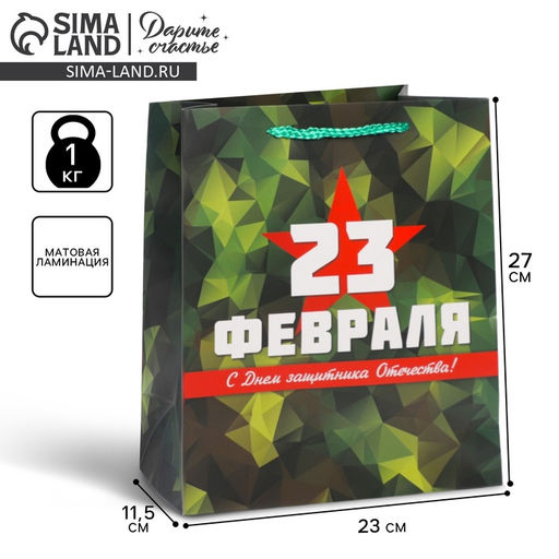 Цена за 2 шт. Пакет подарочный ламинированный, упаковка, «С 23 февраля», ML 23×27×11.5 см