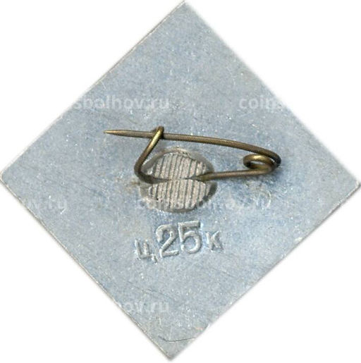 Значок Дмитрий Фурманов  100 лет со дня рождения