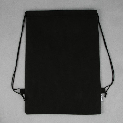 Сумка для обуви T-REX, нетканное полотно, размер 41х31 см - Artfox study фото 4