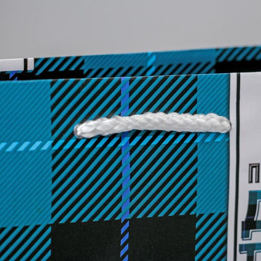 Пакет ламинированный Real man, MS 18 х 23 х 8 см - Доступные радости фото 3