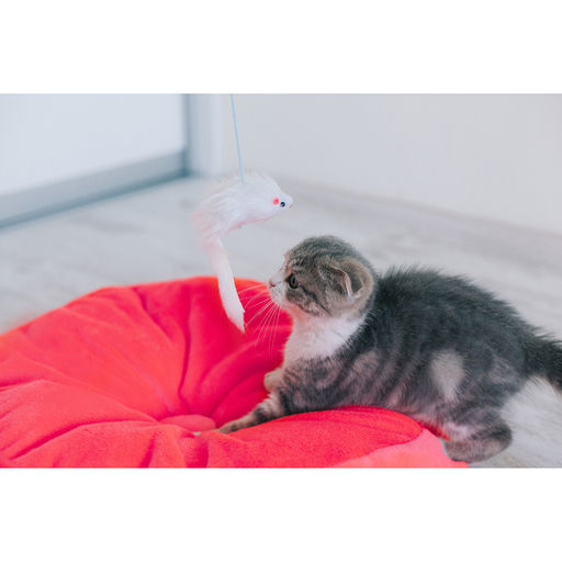 Дразнилка-удочка с белой мышью, палочка микс цветов - Пижон фото 6