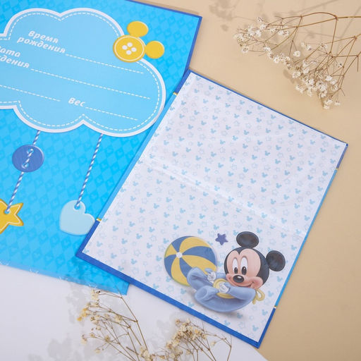 Обложка для документов набор «Мои первые документы», Микки Маус, 21×30 см