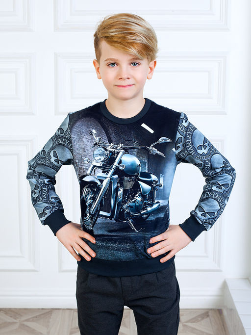 Свитшот "Harley Davidson",графитовый