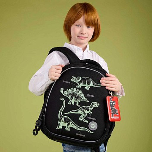 RAz-587-5 Рюкзак школьный - Grizzly фото 15
