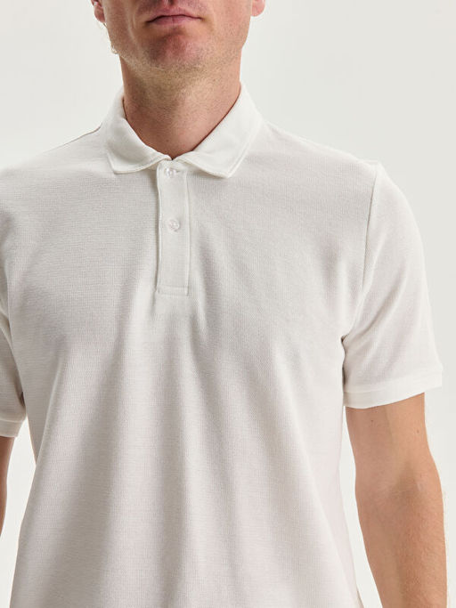 Polo Yaka Erkek Ti??rt