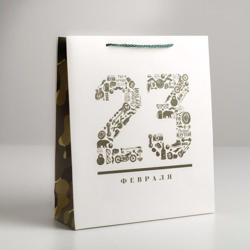 Цена за 2 шт. Пакет подарочный ламинированный, упаковка, «23 февраля», M 26×30×9 см