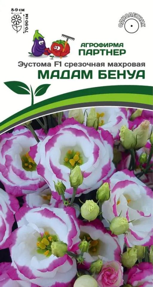 Эустома срезочная махровая белая с розовым Мадам Бенуа