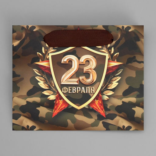 Цена за 2 шт. Пакет подарочный ламинированный, упаковка, «С 23 февраля», S 15×12×5.5 см