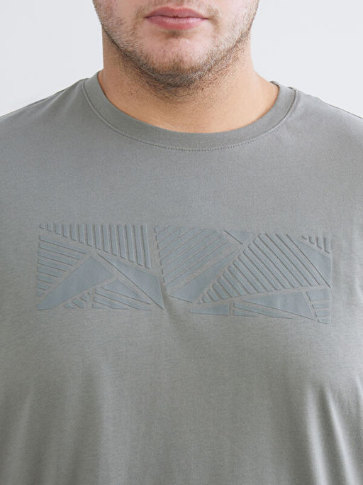 B?y?k Beden Bisiklet Yaka Bask?l? Erkek Ti??rt