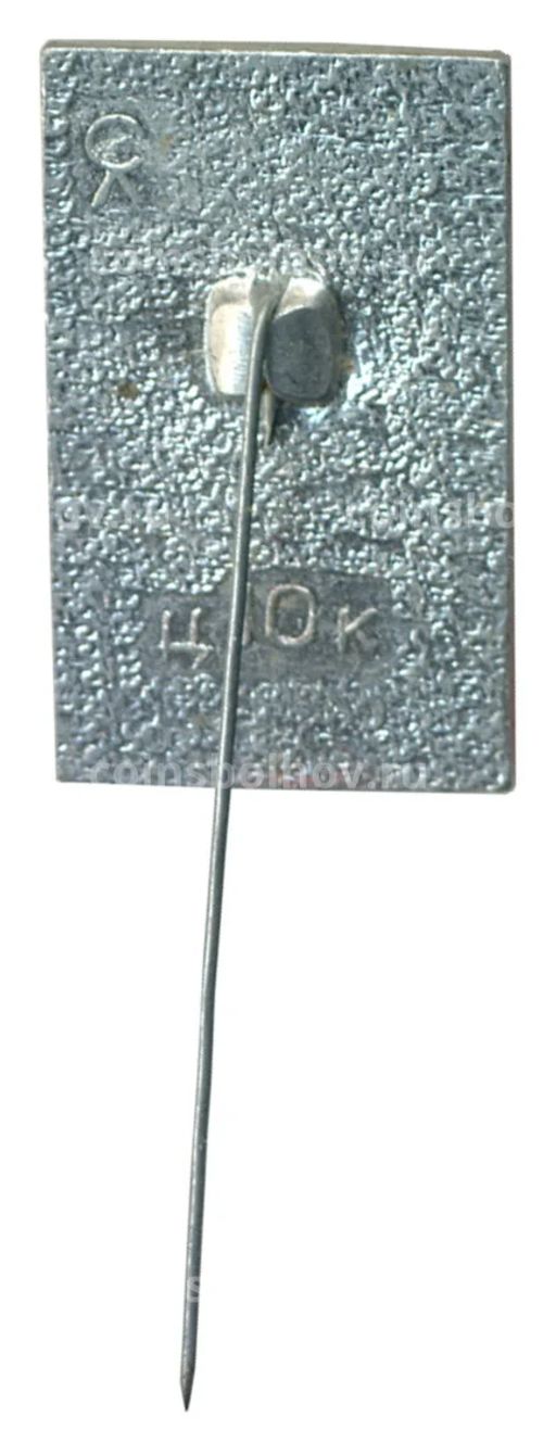 Значок Павловск