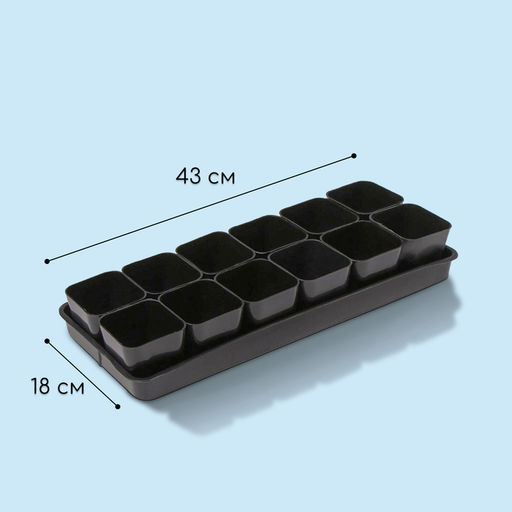 Набор для рассады: стаканы по 300 мл (12 шт.), поддон 45×18 см, МИКС, Greengo