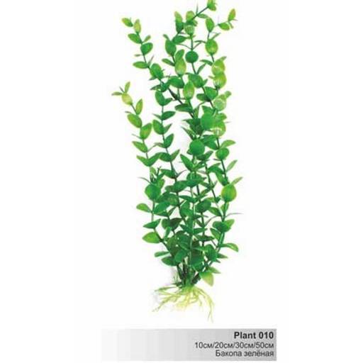 Растение Plant 010 Бакопа зеленая 30 см PLANT 010/30
