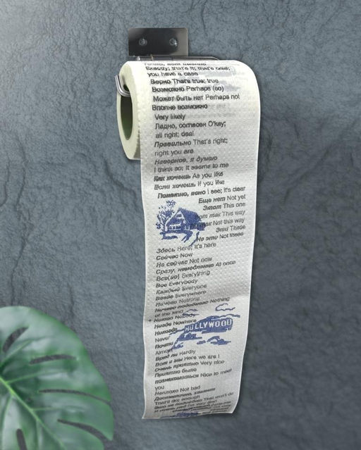 Сувенирная туалетная бумага Русско-английский сленгчасть 1,двухслойная, 25м (10х9,5 см)