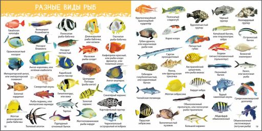 1000 картинок. Подводный мир - Робинс фото 4