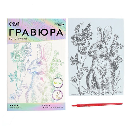 Гравюра Кролик на лугу A5, с металлическим эффектом голография - Школа талантов фото 2